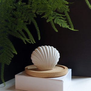 May include: A white ceramic seashell shaped diffuser sits on a wooden coaster atop a white box. The diffuser is on a white surface with green foliage in the background.