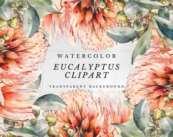 Eukalyptus Clipart, Aquarell Clipart enthält Eukalyptus Grenzen, Kränze und Eukalyptus Blätter digitale Clipart zum sofortigen Download