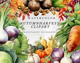 Watercolor Autumn Harvest Clipart: Fall Produce Graphics (Digital Download)