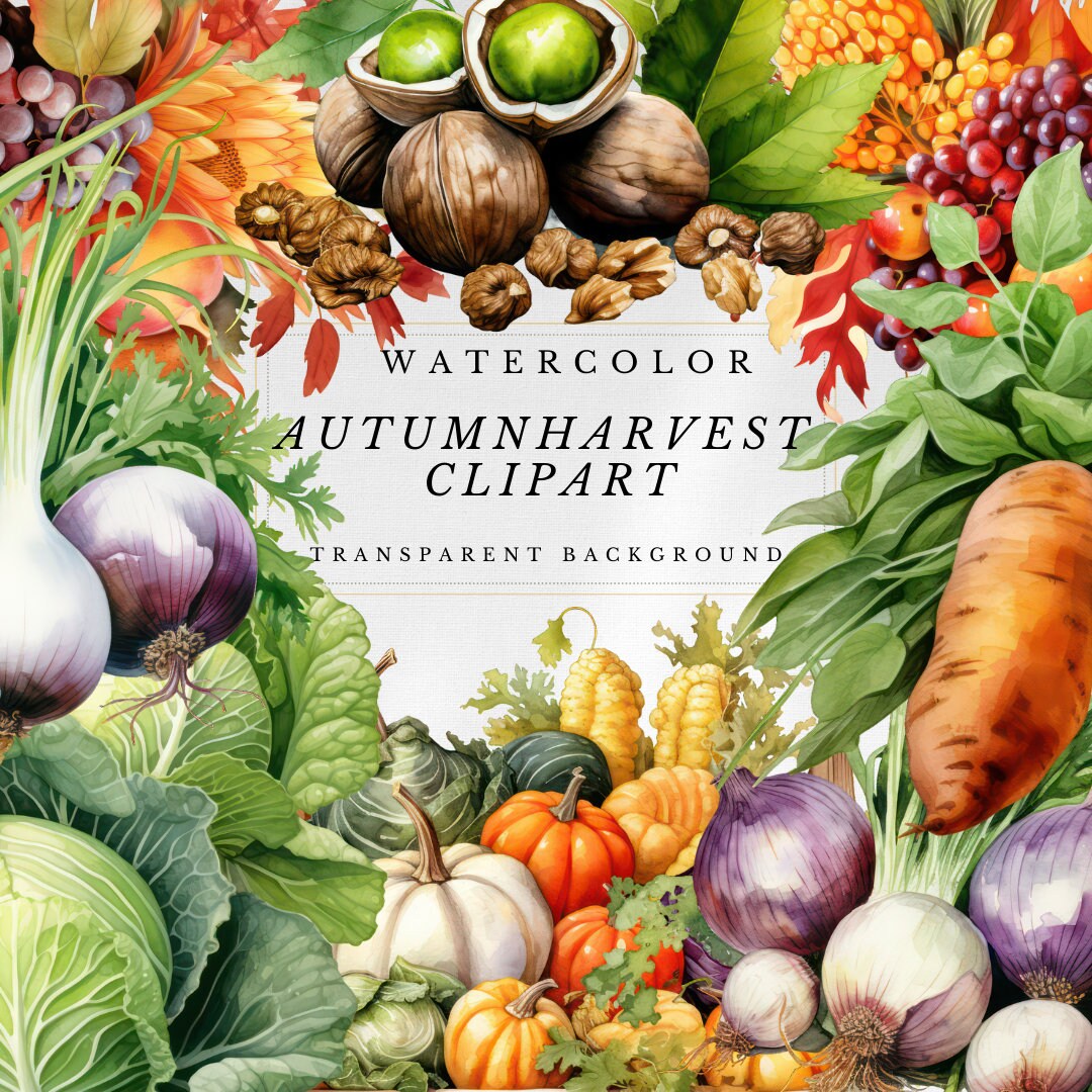 Watercolor Autumn Harvest Clipart: Fall Produce Graphics (digital ...