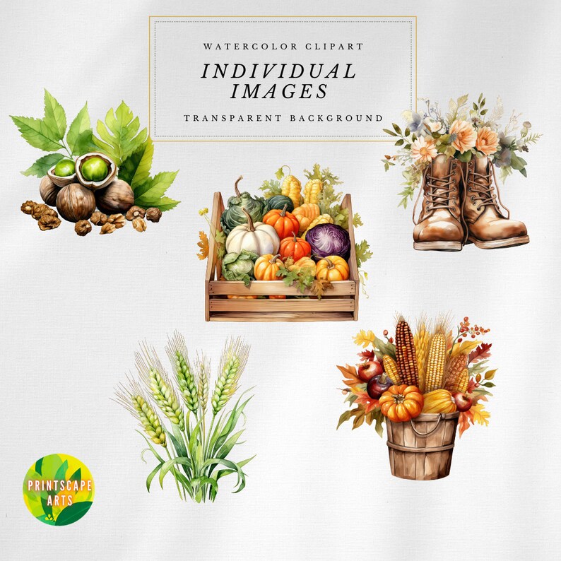 Watercolor Autumn Harvest Clipart: Fall Produce Graphics (digital ...