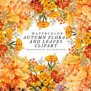 Autumn Watercolor Floral Clipart: Fall PNG Graphics (Digital Download)