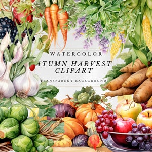 Clipart de colheita de outono, clipart aquarela de outono, coleção de clipart de colheita de outono, coleção de clipart de colheita de outono em formato PNG