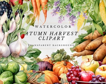 Autumn Harvest Watercolor Clipart: Fall Vegetables PNG (Digital Download)