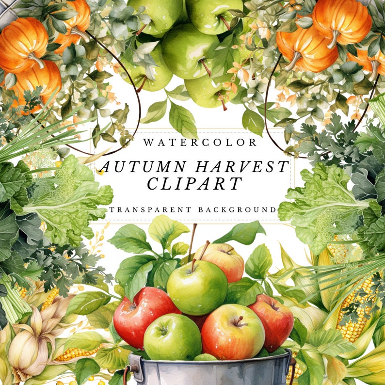Herbst Ernte Clipart, Herbst Aquarell Clipart, Herbst Ernte Clipart Sammlung, Herbst Ernte Clipart Bundle im PNG-Format Bild 1