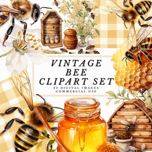 Vintage bijen clipartset - kunstzinnige graphics en honingraatontwerpen - direct downloaden