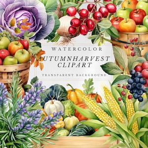 Herbst-Ernte Clipart, Herbst-Aquarell-Clipart, Herbst-Ernte-Clipart-Sammlung, Herbst-Ernte-Clipart-Bundle im PNG-Format