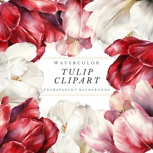 Watercolor Tulip Clipart, Tulips Clipart, Tulip Bouquet, Tulip Simple arrangements in PNG format for instant download