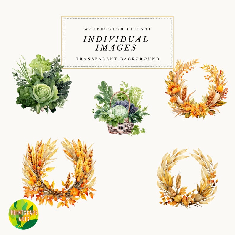 Autumn Harvest Clipart, Fall Watercolor Clipart, Autumn Harvest Clipart Collection, Autumn Harvest Clipart Bundle in PNG format image 5