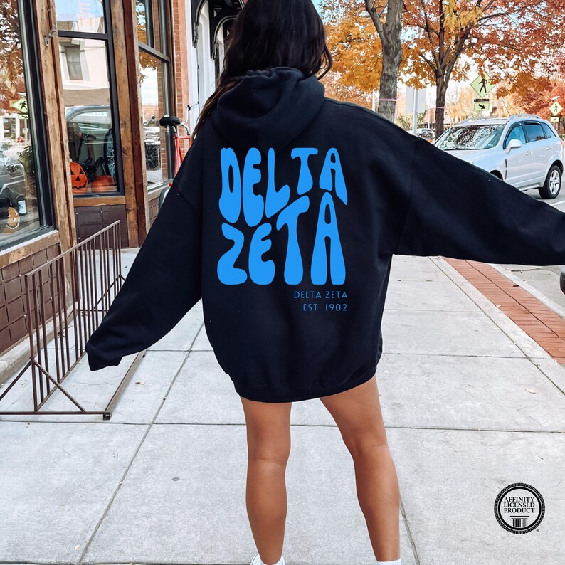 Delta Zeta Puff Letters Hoodie - Sorority Sweatshirt for Delta Zeta ...