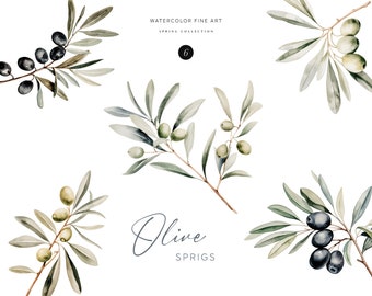 Watercolor Olive Sprigs  - SET ITEM - Wedding Invitation Clipart - Card Design Clipart | Commercial Free