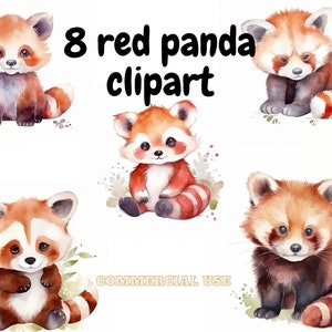 Affascinante e giocoso set di clipart Panda rosso - Perfetto per gli amanti degli animali e gli appassionati della natura