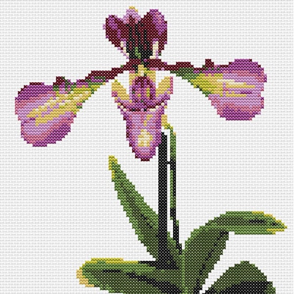 Orchid cross stitch pattern, Slipper orchid, Paphiopedilum