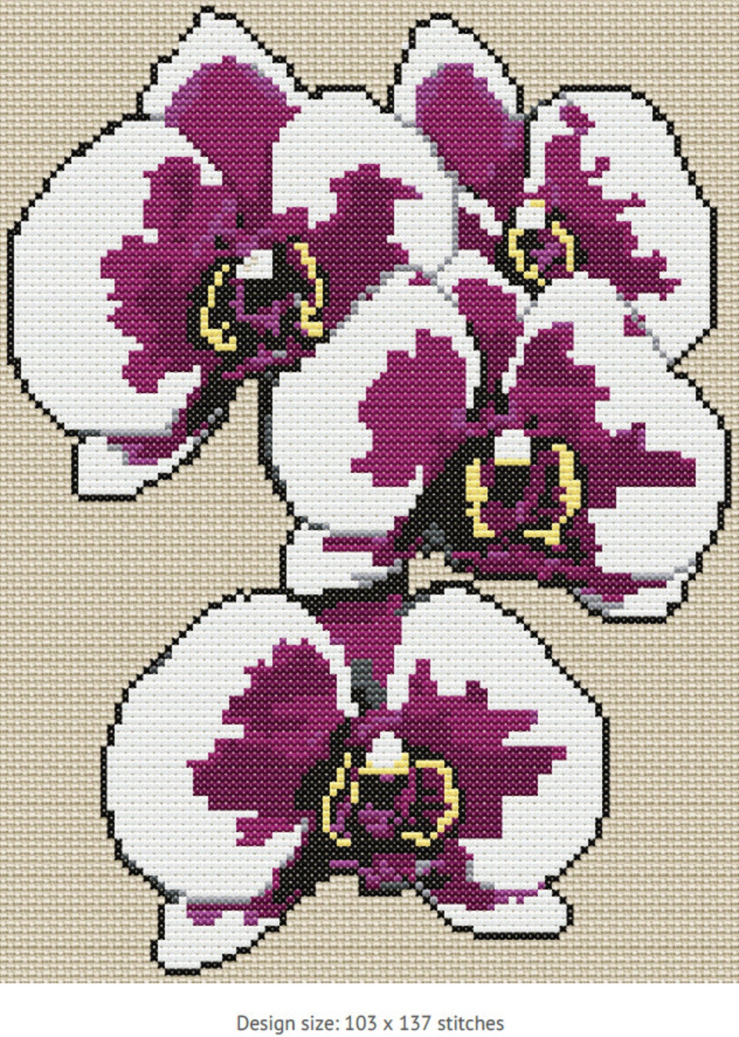 Orchid Cross Stitch Pattern Phalaenopsis - Etsy