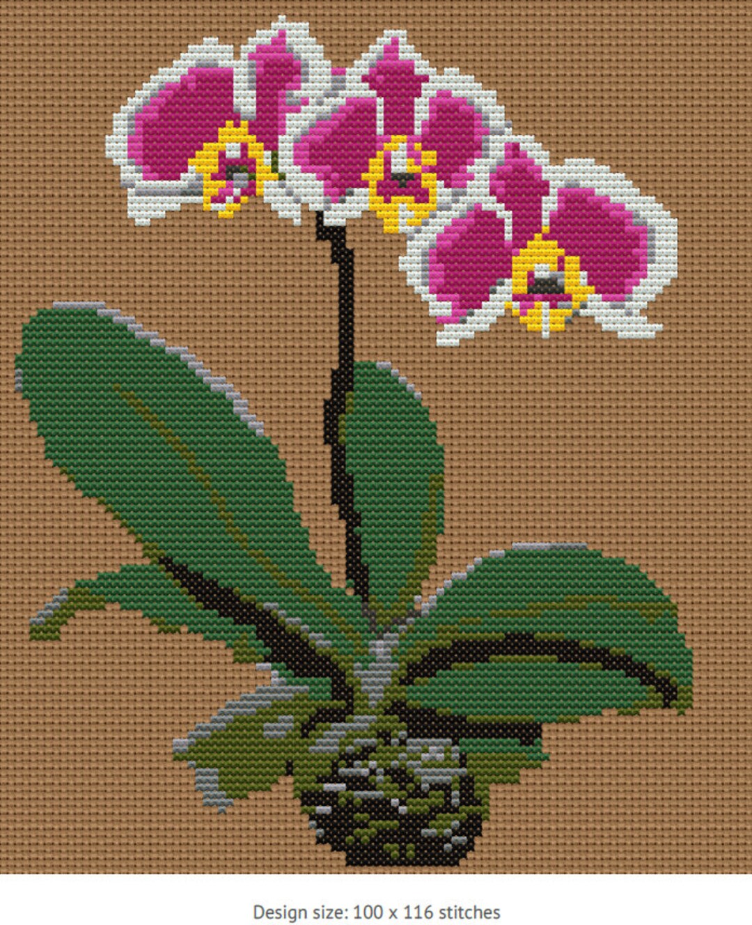 Orchid Cross Stitch Pattern Phalaenopsis - Etsy