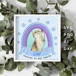Boîte d’ombre commémorative de chat, svg commémoratif de chat, cadeau commémoratif de chat, cadre commémoratif de chat, mémorial d’impression de patte, boîte d’ombre de chat svg, svg commémoratif d’animal familier 3d