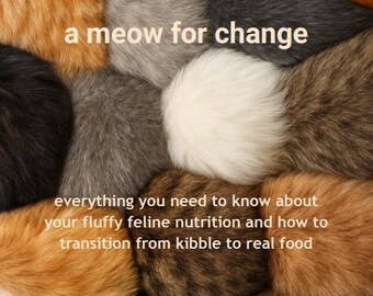Cat Nutrition Guide – Natural Feline Diet, Transition from Kibble