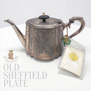 Royal Family Sheffield - "Birmingham" Teapot with Floral Chiselling + Authenticity Card - Old Sheffield Plate - 1920s