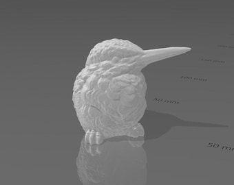 Kingfisher hi-res 3D model
