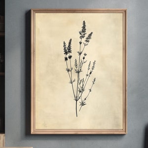 Vintage schwarze Wildblumen Kunstdruck - Botanische Illustration - Rustikales Wohndekor - Boho Cottagecore Wandkunst - Naturinspiriert druckbar