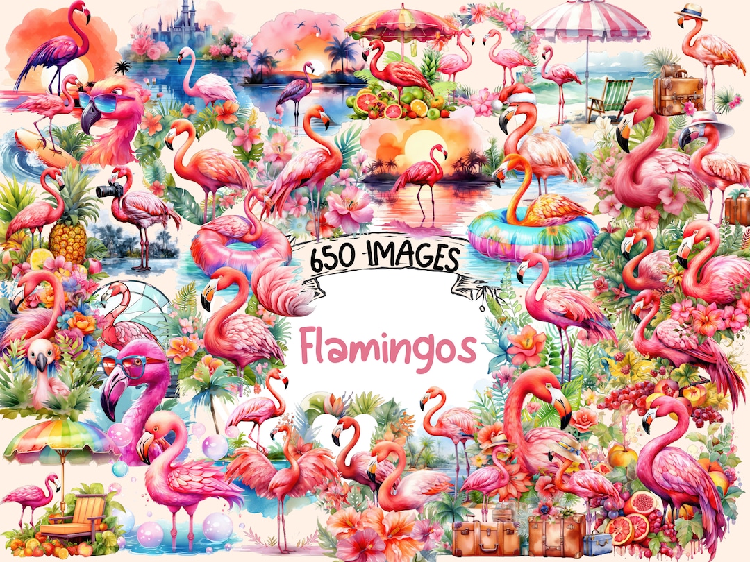 Watercolor Flamingo Clipart Bundle: Tropical Bird Graphics (digital ...
