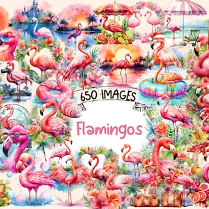 Flamingos Watercolor Clipart Bundle - 650 PNG Flamingo Images, Floral Tropical Birds Graphics, Instant Digital Download, Commercial Use