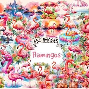 Flamingos Watercolor Clipart Bundle - 650 PNG Flamingo Images, Floral Tropical Birds Graphics, Instant Digital Download, Commercial Use