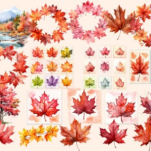 May include: Watercolour illustrations of autumn leaves in various shades of red, orange, and yellow. The leaves are arranged in wreaths, single leaves, and clusters. Some leaves are on a white background, while others are on a light brown background.