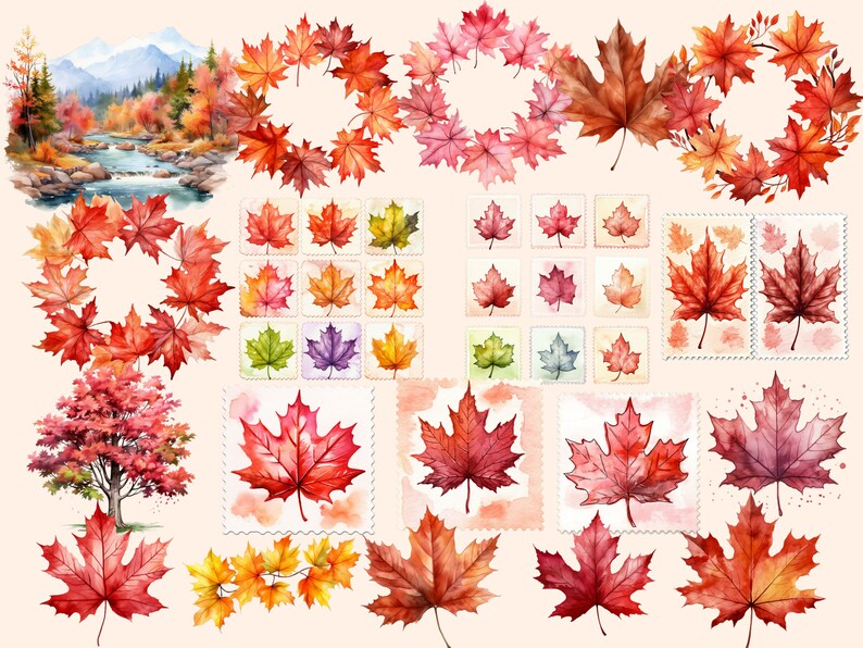 May include: Watercolour illustrations of autumn leaves in various shades of red, orange, and yellow. The leaves are arranged in wreaths, single leaves, and clusters. Some leaves are on a white background, while others are on a light brown background.