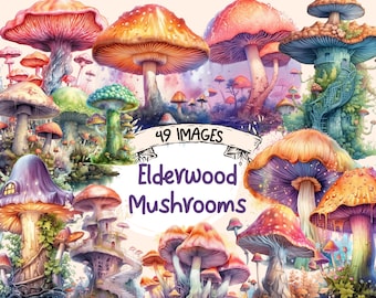 Elderwood Mushrooms Watercolor Clipart Bundle - 49 Storybook Magical Fairytale Illustrations, PNG, Instant Digital Download, Commercial Use