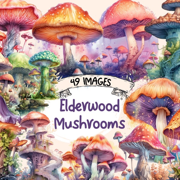 Elderwood Champignons Aquarelle Clipart Bundle - 49 Illustrations de contes de fées magiques de livre de contes, PNG, Téléchargement numérique instantané, Utilisation commerciale