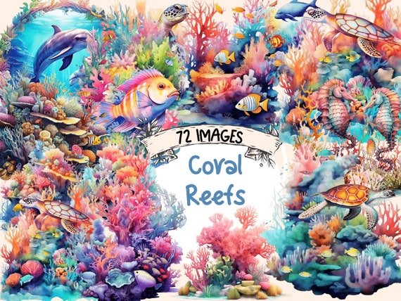 Watercolor Coral Reef Clipart Bundle: 72 Sea Reef PNG Graphics (Digital Download)