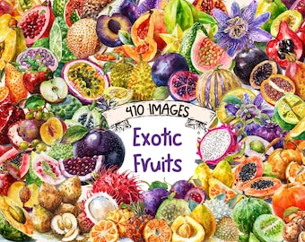 Exotic Fruits Watercolor Clipart Bundle: 410 PNG Tropical Images (Digital Download)