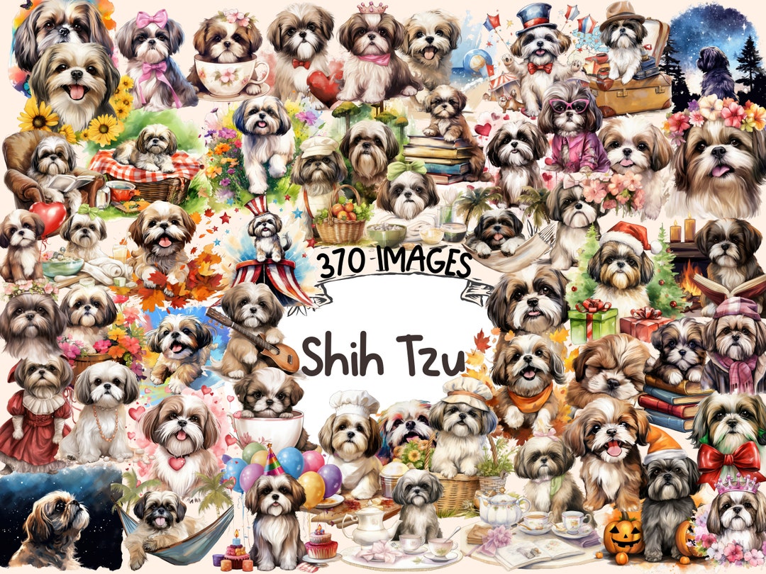 Shih Tzu Watercolor Clipart Bundle – 370+ Dog PNG Images (digital ...