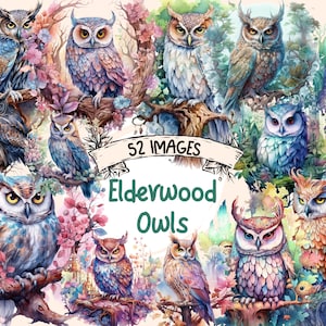 Elderwood Owls Watercolor Clipart Bundle - 52 Magical Fairytale Owl Illustrations,Cute Storybook,PNG,Instant Digital Download,Commercial Use