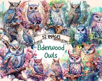Puede incluir: Una ilustración digital de 52 imágenes de búhos de estilo acuarela. Los búhos se representan en varias poses y colores, algunos posados en ramas y otros volando. El texto "52 IMAGES Elderwood Owls" se muestra en el centro de la imagen.