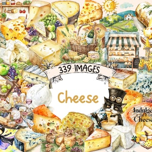 Cheese Watercolor Clipart Bundle - 339 PNG Assorted Cheese Images, Tasty Gourmet Dairy Graphics, Instant Digital Download, Commercial Use