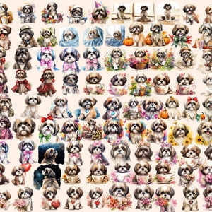 Shih Tzu Watercolor Clipart Bundle – 370+ Dog PNG Images (digital ...