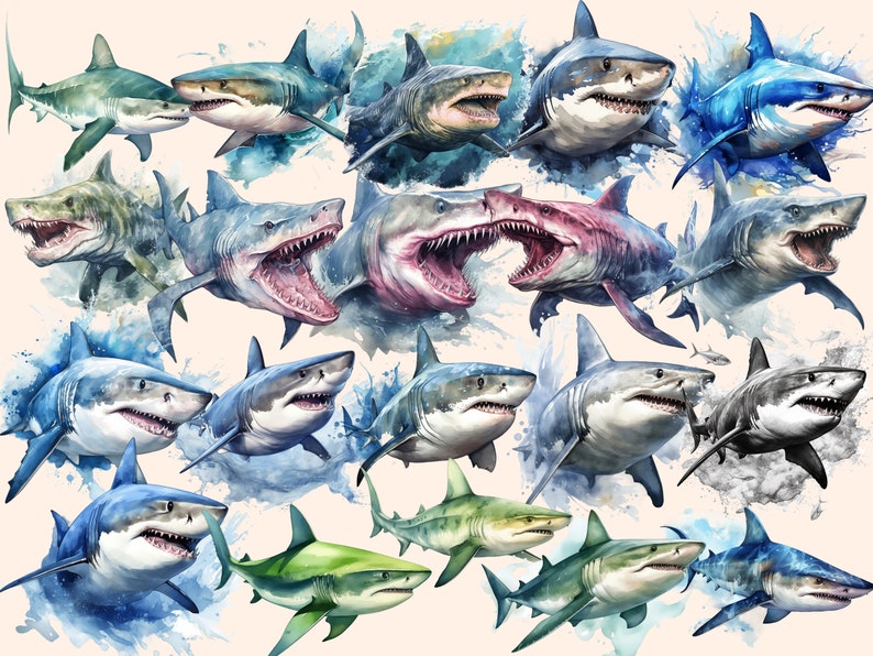Shark Watercolor Clipart Bundle: 151 PNG Images (Commercial Use) (Digital Download) bild 8