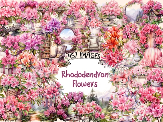 Watercolor Rhododendron Clipart Bundle: 457 PNG Flower Images (digital  Download) - Etsy