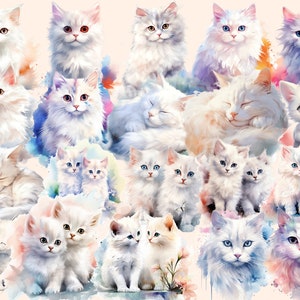 White Cats Watercolor Clipart Bundle 158 PNG White Cat Images, Elegant Feline Graphics, Cute Kitty,Instant Digital Download,Commercial Use image 9