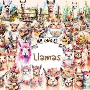 Llamas Watercolor Clipart Bundle - 168 PNG Llama Images, Adorable Alpaca Graphics, Cute Animals, Instant Digital Download, Commercial Use