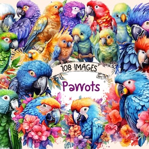 Parrots Watercolor Clipart Bundle - 108 PNG Tropical Birds Images, Summer Exotic Parrot Graphics,PNG,Instant Digital Download,Commercial Use