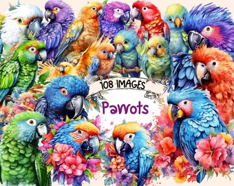 Watercolor Parrot Clipart: 108 Tropical Bird PNG Images (Digital Download)