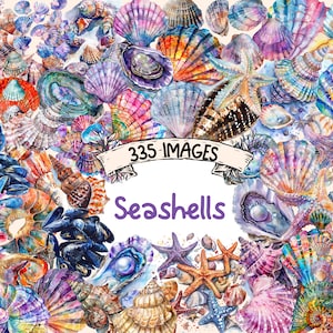 Seashells Watercolor Clipart Bundle - 335 PNG Nautical Coastal Shell Images, Beach Shell Graphics, Instant Digital Download, Commercial Use