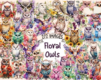 Floral Owl Clipart Bundle: 272 Watercolor PNG Images (Digital Download)