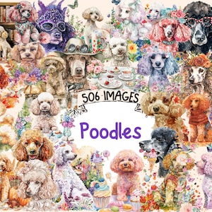 Pudel Aquarell Clipart Bundle - 506 PNG Elegante Entzückende Pudel Hund Bilder, Stilvolle Welpen Grafiken, Sofortiger Digitaler Download, Kommerzielle Nutzung