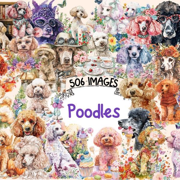 Bundle de cliparts aquarelle caniches - 506 PNG élégant adorable adorable chien caniche images, graphiques de chiot élégant, téléchargement numérique instantané, usage commercial