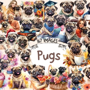 Pugs Watercolor Clipart Bundle - 167 PNG Adorable Pug Images, Cute Dog Graphics,Pug Puppy Printables,Instant Digital Download,Commercial Use