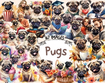May include: A collection of 167 watercolor illustrations of pugs in various poses and settings. The pugs are depicted in a variety of colors, including brown, black, white, and fawn. Some of the pugs are wearing hats, glasses, or other accessories. The illustrations are surrounded by flowers, butterflies, and other whimsical elements.